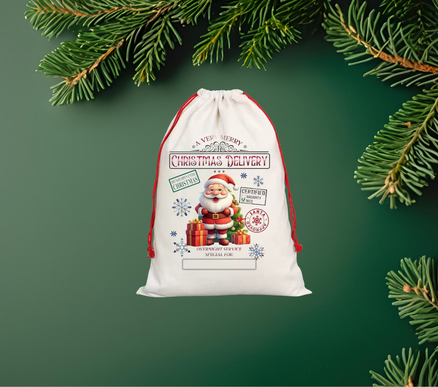 Santa Sack